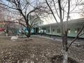 Отдельный дом · 6 комнат · 128 м² · 9 сот., Тулпар саз 13а — Достык за 52 млн ₸ в Каскелене — фото 5