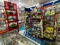 Магазины и бутики · 80 м² за 500 000 ₸ в Шымкенте, Аль-Фарабийский р-н — фото 6