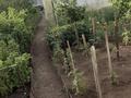 Саяжай · 3 бөлме · 30 м² · 10 жүзд., Федоровка ш/а., Смородиновая 1, бағасы: 6.8 млн ₸ в Караганде, Казыбек би р-н — фото 10