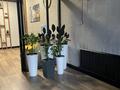 Кеңселер · 16.5 м², бағасы: 247 500 ₸ в Алматы, Алмалинский р-н — фото 2