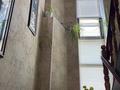 Отдельный дом · 5 комнат · 205 м² · 10 сот., Ертарғын 32 за 45 млн ₸ в Актобе, жилой массив Заречный-3 — фото 9