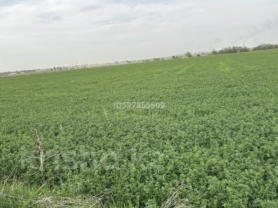 Участок · 1 га, Улгили за 55 млн 〒 в Коксай (пути Ильича)