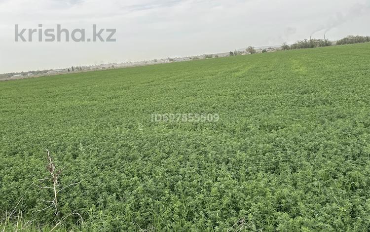 Участок · 1 га, Улгили за 55 млн 〒 в Коксай (пути Ильича) — фото 10