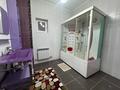 Отдельный дом · 4 комнаты · 220 м² · 10 сот., Южный за 90 млн ₸ в Каскелене — фото 19
