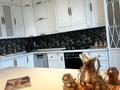 Отдельный дом · 6 комнат · 500 м² · 60 сот., Болашак 29 — Болашак 29 за 220 млн ₸ в  — фото 24