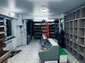 Еркін · 133.8 м², бағасы: 92 млн ₸ в Алматы, Наурызбайский р-н — фото 13