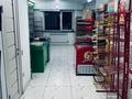 Еркін · 133.8 м², бағасы: 92 млн ₸ в Алматы, Наурызбайский р-н — фото 6