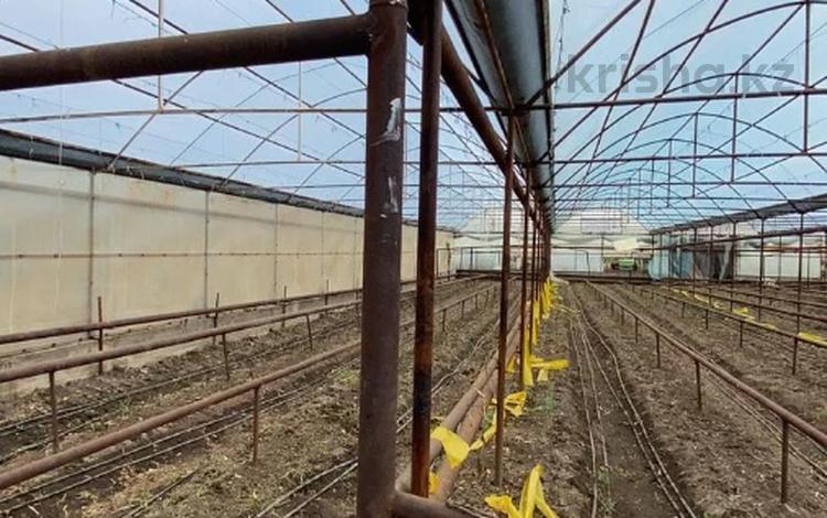 Свободное назначение, сельское хозяйство · 46000 м² за 650 млн ₸ в Актюбинской обл., пос Кенеса Нокина — фото 2