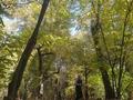 Участок · 49 соток, Турксибский р-н за 490 млн ₸ в Алматы — фото 6