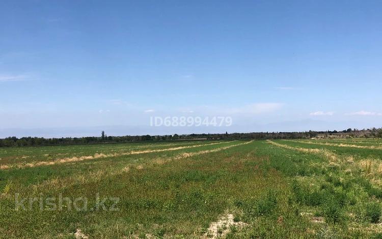 Участок · 50 га, Жамбыл (Жамбылский район) за 48 млн ₸ — фото 2