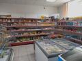 Магазины и бутики • 163 м² за 26 млн 〒 в Косшы