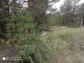 Участок · 7.32 сотки, Голубой Залив за 5.5 млн 〒 в Усть-Каменогорске — фото 7