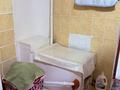 Отдельный дом · 4 комнаты · 80 м² · 24 сот., Центральная 49 — Село Алгабас, сибинские озера за 20 млн ₸ в Бозанбае — фото 21