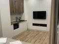 1-комнатная квартира · 35 м² · 13/20 этаж, Толе би за 13 000 ₸ в Астане, Нура р-н — фото 5