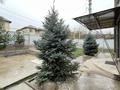 Отдельный дом · 6 комнат · 210 м² · 7.4 сот., мкр Карагайлы за 105 млн ₸ в Алматы, Наурызбайский р-н — фото 28
