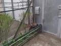 Отдельный дом · 4 комнаты · 150 м² · 6 сот., мкр Самал, Коккинаки 3 за 185 млн 〒 в Алматы, Медеуский р-н — фото 9