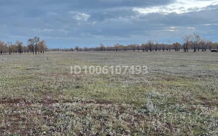 Участок · 11.08 соток, Огородная 76 — Огородная 77 за 6 млн ₸ в Караганде, Казыбек би р-н — фото 2