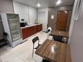 Отдельный дом · 18 комнат · 500 м² · 10 сот., Кенгир 14 за 4.5 млн ₸ в Астане, Алматы р-н — фото 5