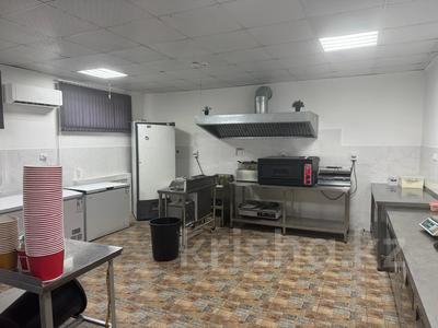 Еркін, қоғамдық тамақтану орны · 48.1 м², бағасы: 450 000 ₸ в Астане, Сарыарка р-н