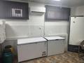 Еркін, қоғамдық тамақтану орны · 48.1 м², бағасы: 450 000 ₸ в Астане, Сарыарка р-н — фото 4