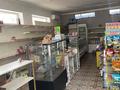 Магазины и бутики · 100 м² за 250 000 ₸ в Каскелене — фото 3