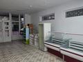Дүкендер мен бутиктер · 123.9 м², бағасы: 300 000 ₸ в Каскелене — фото 2