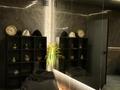 Жеке үй · 7 бөлме · 500 м², мкр Ерменсай 117, бағасы: 3.8 млн 〒 в Алматы, Бостандыкский р-н — фото 85