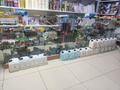 Магазины и бутики · 50 м² за 85 000 〒 в Атырау, мкр Атырау