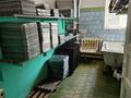 Общепит · 396 м² за 123.6 млн ₸ в Экибастузе — фото 23