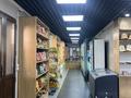 Магазины и бутики · 250 м² за 65 млн ₸ в  — фото 6