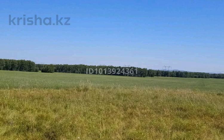 Участок · 10 соток, Яблонява 100 — Зерендинские дачи за 1.1 млн ₸ в Кокшетау — фото 2