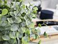 1-комнатная квартира · 34 м² · 1/4 этаж, Желтоксан 8 — Набережная, рядом ресторан Алтын Шанырак за 15 000 ₸ в Балхаше — фото 17