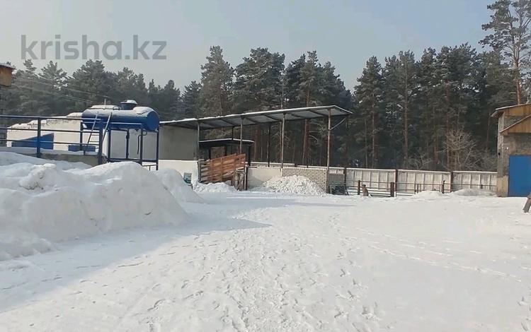 Өнеркәсіптік база 1 га, Западная 111, бағасы: 47 млн 〒 в Семее, мкр Красный Кордон — фото 10