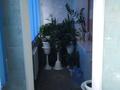 4-бөлмелі пәтер · 100 м² · 4/5 қабат, мкр Айнабулак-3 158 — Макатаева, бағасы: 85 млн ₸ в Алматы, Жетысуский р-н — фото 11
