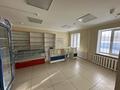 Свободное назначение · 70 м² за 41 млн ₸ в Астане — фото 7