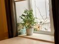 3-бөлмелі пәтер · 56 м² · 4/5 қабат, Толстого 50, бағасы: 270 000 ₸ в Костанае — фото 12