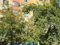 3-комнатная квартира · 78 м² · 9/13 этаж, Кудайбердыулы 25/1 за 36 млн ₸ в Астане, Алматы р-н — фото 22