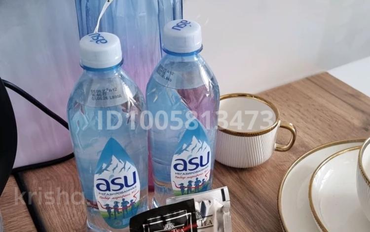 1-комнатная квартира · 25 м² · 8/9 этаж, мкр Атырау, Мкр. Атырау — Напротив Халык Арены за 15 000 〒 в Алматы, Медеуский р-н — фото 4