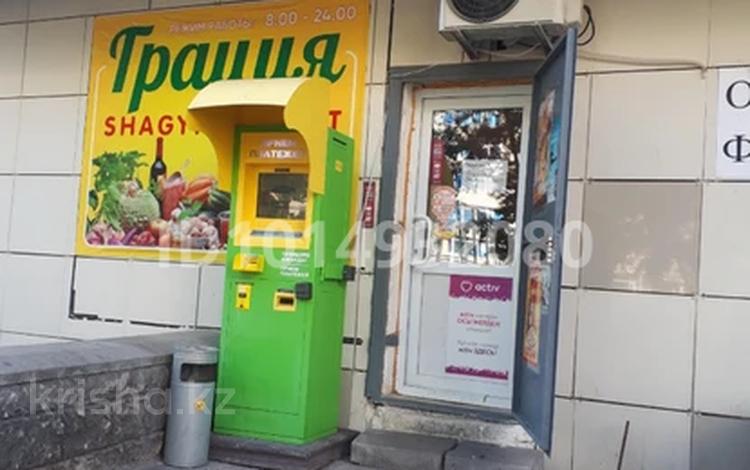 Продуктовый магазин · 30 м² за 3.5 млн ₸ в Астане, Есильский р-н — фото 12