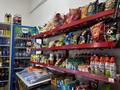 Продуктовый магазин · 30 м² за 3.5 млн ₸ в Астане, Есильский р-н — фото 3