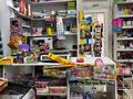 Продуктовый магазин · 30 м² за 3.5 млн ₸ в Астане, Есильский р-н — фото 5
