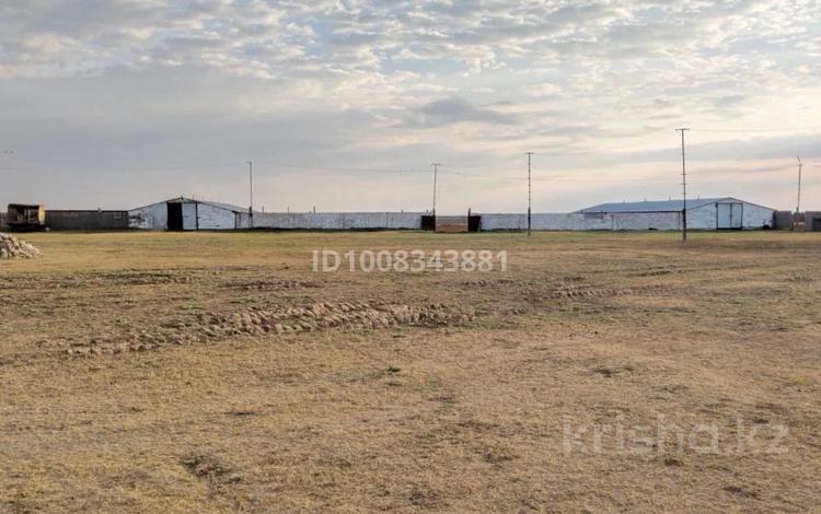 Участок · 400 га, Уу 7 — Мал ауыл сатылады барлык жагыдайы жасалган Құландыдан 7км жерде орналаскан за 25 млн 〒 в Жанаозен — фото 2