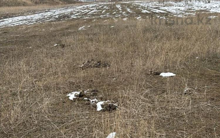 Жер телімі · 2.3 га, Каскелен — Райымбека, бағасы: 600 млн ₸ — фото 2