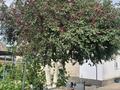 Отдельный дом · 3 комнаты · 116.4 м², Кулымбетова 87а — Кунаева за 38 млн ₸ в Актобе, мкр. Курмыш — фото 33