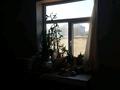Отдельный дом · 5 комнат · 70 м² · 8 сот., Мкр Квартал 276 573/1 за 25 млн ₸ в Шымкенте, Аль-Фарабийский р-н — фото 12