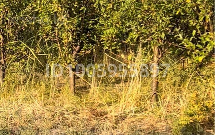 Участок · 5 га, Мерке за 30 млн 〒 — фото 2