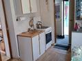 Жеке үй · 3 бөлме · 60 м² · 4.7 жүзд., Карасай батыра 259 — Тургута Озала, бағасы: 62 млн ₸ в Алматы, Алмалинский р-н — фото 15