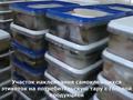 Зауыт · 35 сотық, Красный пильщик 34 — Кошкарбаева 343 кв-л, бағасы: 395 млн ₸ в Семее — фото 34