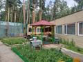 Действующая база отдыха с 4 домами в лесном массиве у озера! · 260 м² за 160 млн ₸ в Акмолинской обл., Щучинский — фото 7