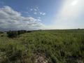 Участок · 150 соток, Монке би за 375 млн ₸ в Алматы, Алатауский р-н — фото 2